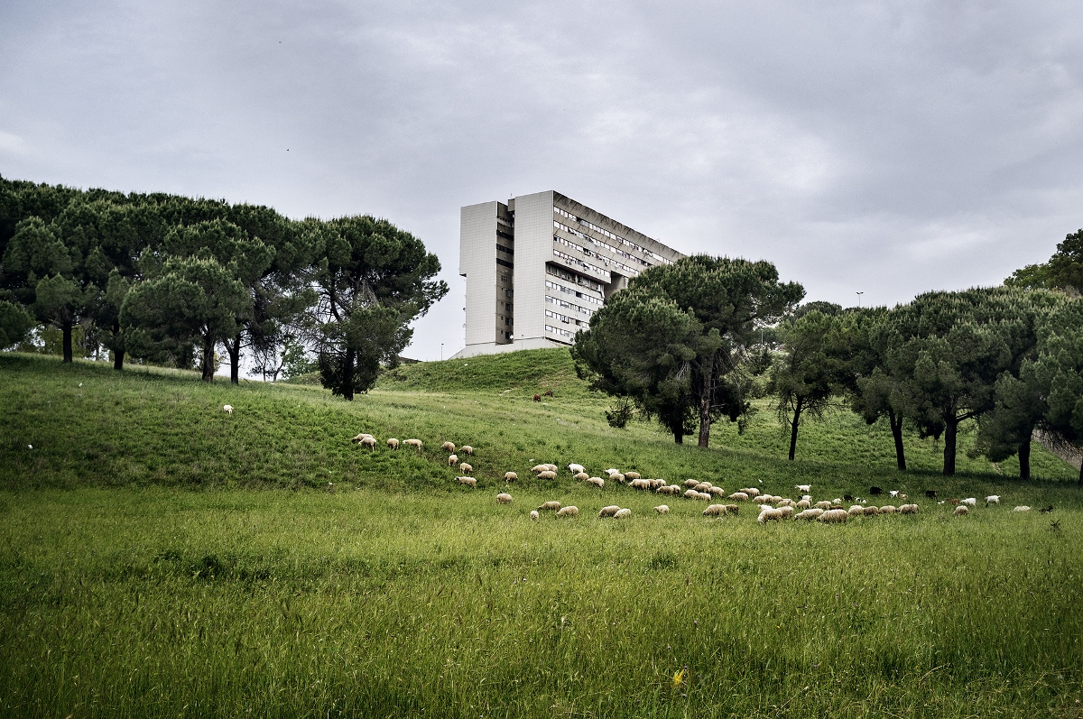 Aldo Feroce – Il palazzo dei destini incrociati